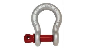 durable g209 shackle assessment