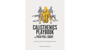 calisthenics game changer fitness review