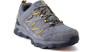 great summary of the text